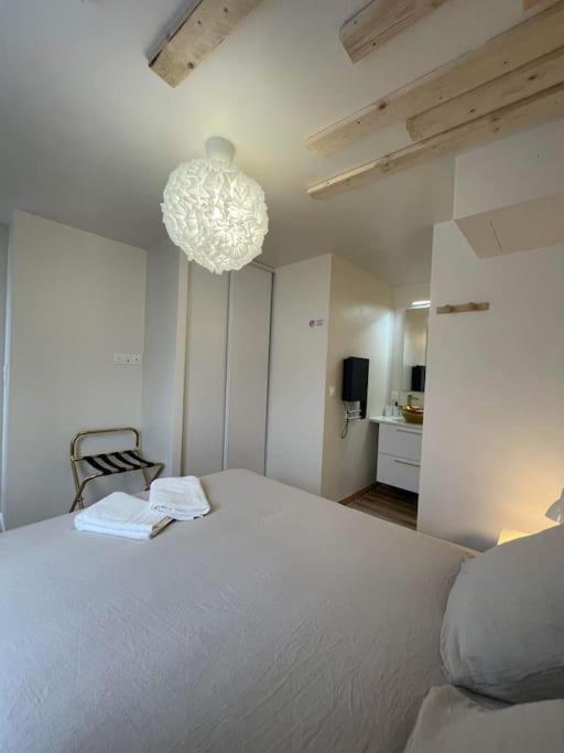 Luxueux T2 Lumineux Unique Claude Appartement