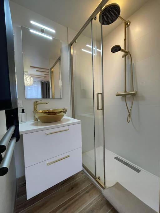 Appartement Luxueux T2 Lumineux Unique Claude *